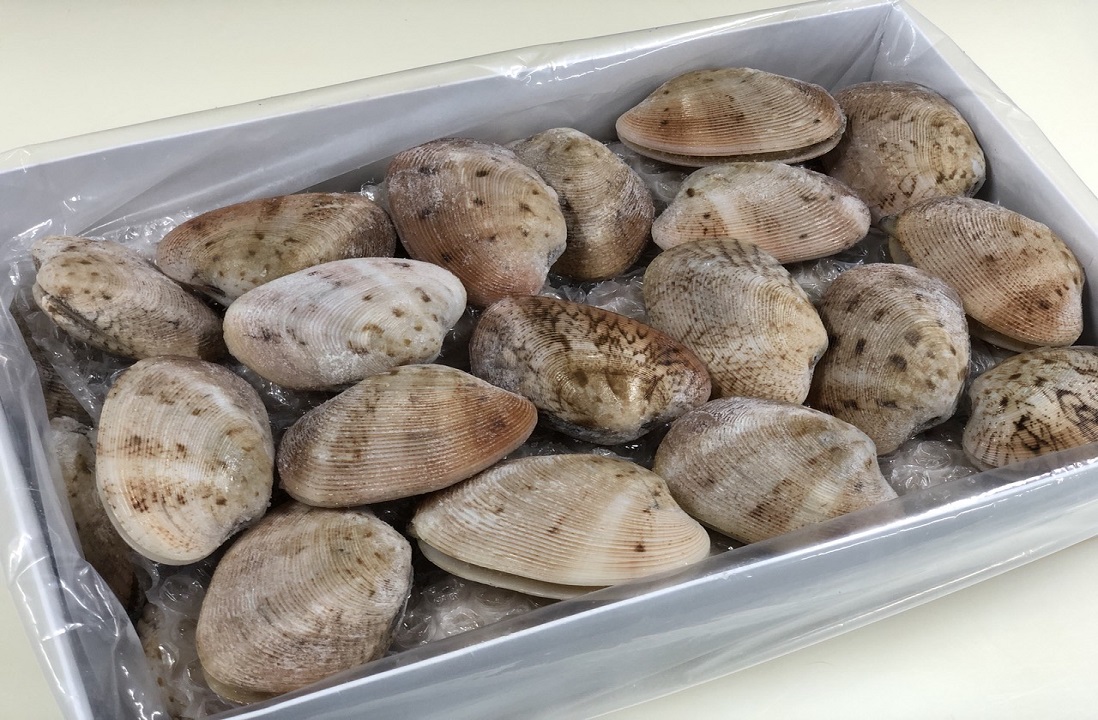 Sea Clams