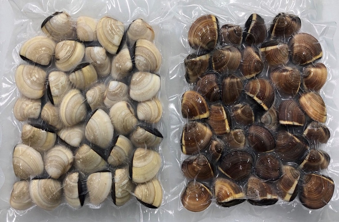 White Clams